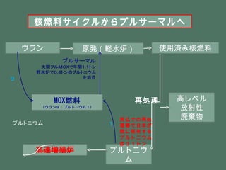原発（軽水炉） 使用済み核燃料 高レベル 放射性 廃棄物 プルトニウム 再処理 ウラン 核燃料サイクルからプルサーマルへ 英仏での再処理等で日本が既に保有するプルトニウムは３１トン 