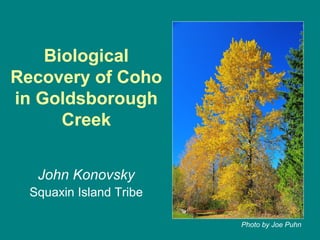 Biological
Recovery of Coho
in Goldsborough
Creek
John Konovsky
Squaxin Island Tribe
Photo by Joe Puhn
 