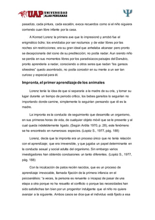 pasadizo, cada pintura, cada escalón, evoca recuerdos como si el niño siguiera
corriendo cuan libre infante por la casa.
A Konrad Lorenz la primera ave que lo impresionó y arrobó fue el
enigmático búho; los envidiaba por ser nocturnos y de volar libres por las
noches sin restricciones; era su gran ideal que anhelaba alcanzar pero pronto
se decepcionaría del icono de su predilección; no podía nadar. Aun siendo niño
se perdía en sus momentos libres por los paradisiacos paisajes del Danubio,
pronto aprendería a nadar, conociendo a otros seres que nadan “los gansos
silvestres” quedo asombrado, no podía concebir en su mente a un ser tan
curioso y especial para él.
Impronta,el primer aprendizajede los animales
Lorenz tenía la idea de que si separaría a la madre de su cría, y tomar su
lugar durante un tiempo de periodo crítico, los bebes gansitos lo seguirían no
importando donde camine, simplemente lo seguirían pensando que él es la
madre.
La impronta es la conducta de seguimiento que desarrolla un organismo,
en sus primeras horas de vida, de cualquier objeto móvil que se le presente y al
cual queda indeleblemente ligado. (Según Ardila 1970, p. 28), este fenómeno
se ha encontrado en numerosas especies. (Lopéz S., 1977, pág. 188)
Lorenz, decía que la impronta era un proceso único que no tenía relación
con el aprendizaje; que era irreversible, y que jugaba un papel determinante en
la conducta sexual y social adulta del organismo. Sin embargo varios
investigadores han obtenido conclusiones un tanto diferentes. (Lopéz S., 1977,
pág. 188)
Con la inculcación de patos recién nacidos, que es un proceso de
aprendizaje irrevocable, llamada fijación de la primera infancia en el
psicoanálisis: “a veces, la persona es renuente o incapaz de pasar de una
etapa a otra porque no ha resuelto el conflicto o porque las necesidades han
sido satisfechas tan bien por un progenitor indulgente que el niño no quiere
avanzar a la siguiente. Ambos casos se dice que el individuo está fijado a esa
 