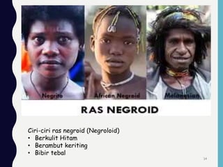 Ciri-ciri ras negroid (Negroloid)
• Berkulit Hitam
• Berambut keriting
• Bibir tebal
14
 