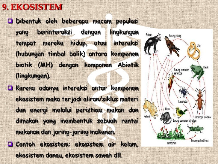 Konsep dasar biologi