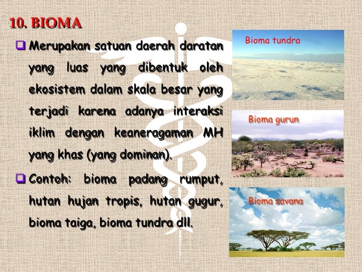 Konsep dasar biologi