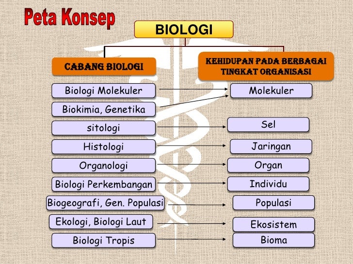 Konsep dasar biologi