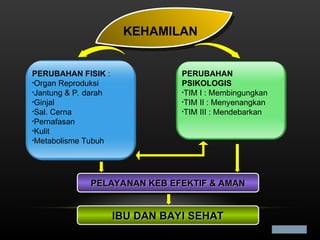 konsep dasar kehamilan asuhan kebidanan.ppt