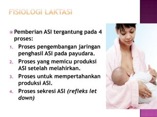  Pemberian

ASI tergantung pada 4

proses:
1. Proses pengembangan jaringan
penghasil ASI pada payudara.
2. Proses yang memicu produksi
ASI setelah melahirkan.
3. Proses untuk mempertahankan
produksi ASI.
4. Proses sekresi ASI (refleks let
down)

 