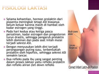 







Selama kehamilan, hormon prolaktin dari
plasenta meningkat tetapi ASI biasanya
belum keluar karena masih di hambat oleh
kadar estrogen yang tinggi.
Pada hari kedua atau ketiga pasca
persalinan, kadar estrogen dan progesteron
turun drastis, sehingga pengaruh prolaktin
lebih dominan dan pada saat inilah mulai
terjadi sekresi ASI.
Dengan menyusukan lebih dini terjadi
perangsangan puting susu, terbentuklah
prolaktin oleh hipofisis, sehingga sekresi ASI
semakin lancar.
Dua refleks pada ibu yang sangat penting
dalam proses laktasi yaitu refleks prolaktin
dan refleks aliran (let down refleks

 
