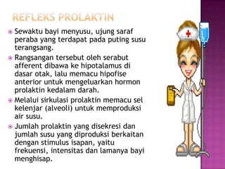 Sewaktu bayi menyusu, ujung saraf
peraba yang terdapat pada puting susu
terangsang.
 Rangsangan tersebut oleh serabut
afferent dibawa ke hipotalamus di
dasar otak, lalu memacu hipofise
anterior untuk mengeluarkan hormon
prolaktin kedalam darah.
 Melalui sirkulasi prolaktin memacu sel
kelenjar (alveoli) untuk memproduksi
air susu.
 Jumlah prolaktin yang disekresi dan
jumlah susu yang diproduksi berkaitan
dengan stimulus isapan, yaitu
frekuensi, intensitas dan lamanya bayi
menghisap.


 