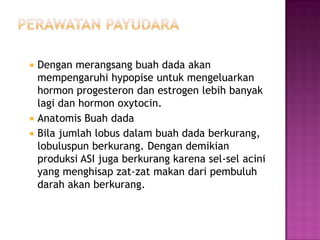 




Dengan merangsang buah dada akan
mempengaruhi hypopise untuk mengeluarkan
hormon progesteron dan estrogen lebih banyak
lagi dan hormon oxytocin.
Anatomis Buah dada
Bila jumlah lobus dalam buah dada berkurang,
lobuluspun berkurang. Dengan demikian
produksi ASI juga berkurang karena sel-sel acini
yang menghisap zat-zat makan dari pembuluh
darah akan berkurang.

 