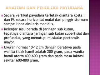  Secara

vertikal payudara terletak diantara kosta II
dan IV, secara horizontal mulai dari pinggir sternum
sampai linea aksilaris medialis.
 Kelenjar susu berada di jaringan sub kutan,
tepatnya diantara jaringan sub kutan superfisial dan
profundus, yang menutupi muskulus pectoralis
mayor.
 Ukuran normal 10-12 cm dengan beratnya pada
wanita tidak hamil adalah 200 gram, pada wanita
hamil aterm 400-600 gram dan pada masa laktasi
sekitar 600-800 gram.

 