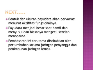  Bentuk

dan ukuran payudara akan bervariasi
menurut aktifitas fungsionalnya.
 Payudara menjadi besar saat hamil dan
menyusui dan biasanya mengecil setelah
menopause.
 Pembesaran ini terutama disebabkan oleh
pertumbuhan struma jaringan penyangga dan
penimbunan jaringan lemak.

 