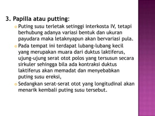 3. Papilla atau putting:
Puting susu terletak setinggi interkosta IV, tetapi
berhubung adanya variasi bentuk dan ukuran
payudara maka letaknyapun akan bervariasi pula.
 Pada tempat ini terdapat lubang-lubang kecil
yang merupakan muara dari duktus laktiferus,
ujung-ujung serat otot polos yang tersusun secara
sirkuler sehingga bila ada kontraksi duktus
laktiferus akan memadat dan menyebabkan
puting susu ereksi,
 Sedangkan serat-serat otot yang longitudinal akan
menarik kembali puting susu tersebut.


 