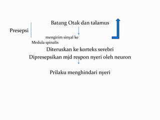 Batang Otak dan talamus
Presepsi
                   mengirim sinyal ke
            Medula spinalis
                  Diteruskan ke korteks serebri
           Dipresepsikan mjd respon nyeri oleh neuron

                     Prilaku menghindari nyeri
 