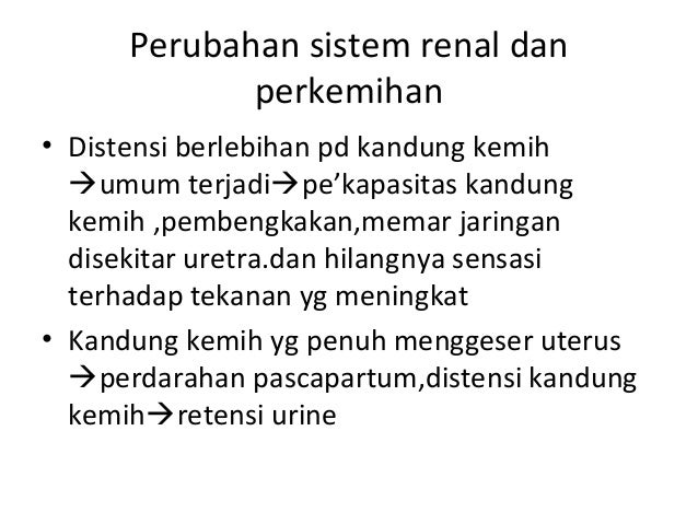 Konsep Dasar Postpartum