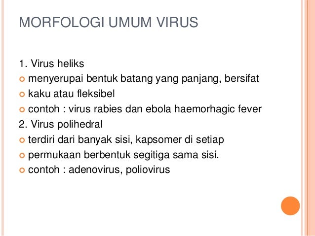 Konsep Dasar Virologi