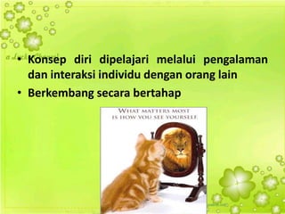 • Konsep diri dipelajari melalui pengalaman
dan interaksi individu dengan orang lain
• Berkembang secara bertahap
 