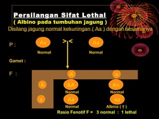 Konsep hereditas mendel | PPT