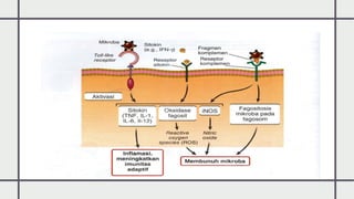 Comprehensive Concepts of Immunology and Its Applications in Health | PPTX