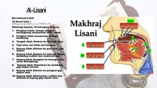 Al-Lisani
Bermaksud Lidah
18 Huruf iaitu :
(
‫ت‬
,
‫د‬
,
‫ذ‬
,
‫ط‬
,
‫ظ‬
,
‫ث‬
,
‫ز‬
,
‫ر‬
,
‫ل‬
,
‫ن‬
,
‫ض‬
,
‫ص‬
,
‫ج‬
,
‫س‬
,
‫ش‬
,
‫ي‬
,
‫ك‬
,
‫ق‬
)
Dibahagi kepada 10 bahagian khusus:
1. Pangkal Lidah, hampir dengan
kerongkong menyentuh anak tekak.
2. Pangkal lidah menyentuh lelangit
belakang.
3. Tengah lidah ditekan ke lelangit atas.
4. Tepi atau sisi lidah (kirikanan).
5. Hujung lidah ditekan ke gusi atas gigi
depan.
6. Hujung lidah ditekan ke lelangit depan,
belakang sedikit dari makhraj lam.
7. Hujung lidah diangkat ke lelangit atas,
serta dilengkung.
8. Hujung lidah diletakkan ke belakang
gigi depan bawah
9. Hujung lidah ditekan ke pangkal gigi
depan atas
10. Hujung lidah dikeluarkan sedikit dan
ditekan di hujung gigi depan atas
1
2
3
4
5,6,7
8
9
10
 