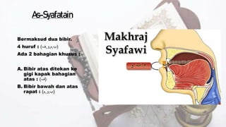 As-Syafatain
Bermaksud dua bibir.
4 huruf : (
‫ب‬
,
‫م‬
,
‫و‬
,
‫ف‬
)
Ada 2 bahagian khusus :
A. Bibir atas ditekan ke
gigi kapak bahagian
atas : (
‫ف‬
)
B. Bibir bawah dan atas
rapat : (
‫ب‬
,
‫و‬
,
‫م‬
)
 