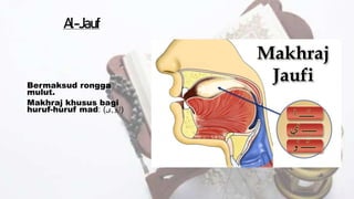Al-Jauf
Bermaksud rongga
mulut.
Makhraj khusus bagi
huruf-huruf mad: (
‫ا‬
,
‫و‬
,
‫ى‬
)
 