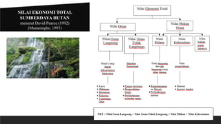NILAI EKONOMI TOTAL
SUMBERDAYA HUTAN
menurut David Pearce (1992)
(Munasinghe, 1993)
NET = Nilai Guna Langsung + Nilai Guna Tidak Langsung + Nilai Pilihan + Nilai Keberadaan
 