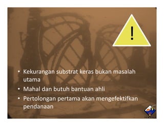 !
• Kekurangan substrat keras bukan masalah
  utama
• Mahal d b h b
     h l dan butuh bantuan ahli
                             hli
• Pertolongan pertama akan mengefektifkan
  pendanaan
 