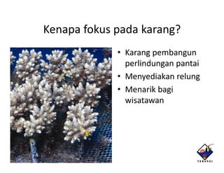 Kenapa fokus pada karang?
             • Karang pembangun
               perlindungan pantai
             • Menyediakan relung
             • Menarik bagi
               wisatawan
                i
 