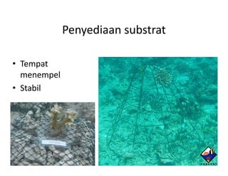 Penyediaan substrat

• Tempat
  menempel
• Stabil
 