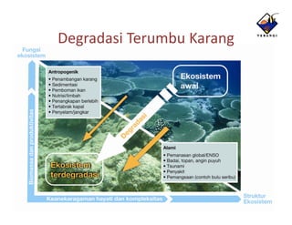 Degradasi Terumbu Karang
 