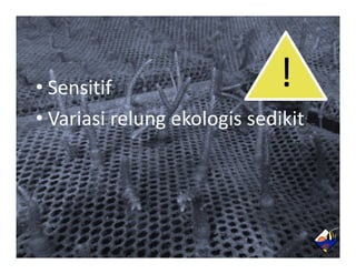• Sensitif                   !
• Variasi relung ekologis sedikit
 