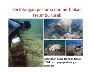 Pertolongan pertama dan perbaikan
          terumbu rusak
                b     k




               Kerusakan pasca tsunami tahun
                               tsunamitahun
               2004dan upaya pertolongan
               pertama
 