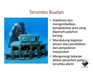 Terumbu Buatan
        • Stabilisasi dan
          mengembalikan
          kompleksitas areayang
          dipenuhi patahan
          karang
        • Mendukung kegiatan
          wisata atau pendidikan
          dan penyadaran
          masyarakat
        • Mengurangi tekanan
          akibat penyelam pada
          terumbu alami
 