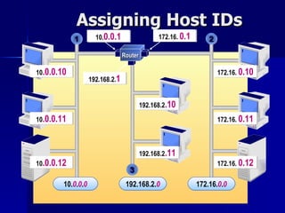 Assigning Host IDs 1 2 172.16.   0.12 172.16.   0.11 172.16.   0.10 10 .0.0.12 10 .0.0.11 10 .0.0.10 192.168.2 .11 192.168.2 .10 192.168.2. 1 10. 0.0.1 172.16.   0.1 3 10 . 0 . 0 . 0 192.168.2 . 0 172.16 . 0 . 0 Router 