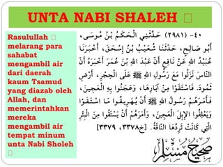 UNTA NABI SHALEH 
Rasulullah 
melarang para 
sahabat 
mengambil air 
dari daerah 
kaum Tsamud 
yang diazab oleh 
Allah, dan 
memerintahkan 
mereka 
mengambil air 
tempat minum 
unta Nabi Sholeh 
 
