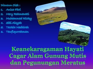 Konservasi gunung mutis