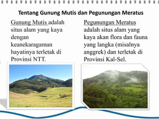 Tentang Gunung Mutis dan Pegunungan Meratus
Gunung Mutis adalah
situs alam yang kaya
dengan
keanekaragaman
hayatinya terletak di
Provinsi NTT.
Pegunungan Meratus
adalah situs alam yang
kaya akan flora dan fauna
yang langka (misalnya
anggrek) dan terletak di
Provinsi Kal-Sel.
 