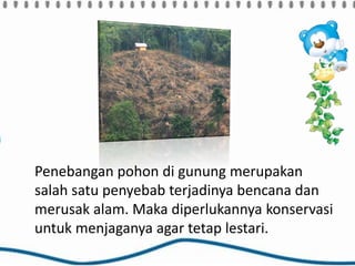 Penebangan pohon di gunung merupakan
salah satu penyebab terjadinya bencana dan
merusak alam. Maka diperlukannya konservasi
untuk menjaganya agar tetap lestari.
 