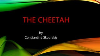 THE CHEETAH
by
Constantine Skourakis
 