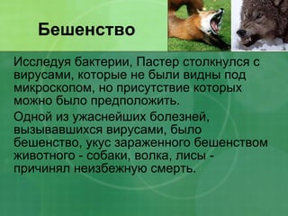 Бешенство Исследуя бактерии, Пастер столкнулся с вирусами, которые не были видны под микроскопом, но присутствие которых можно было предположить. Одной из ужаснейших болезней, вызывавшихся вирусами, было бешенство, укус зараженного бешенством животного - собаки, волка, лисы - причинял неизбежную смерть.  