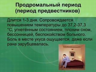 Продромальный период  (период предвестников)  Длится 1-3 дня. Сопровождается повышением температуры до 37,2-37,3 °C, угнетённым состоянием, плохим сном, бессонницей, беспокойством больного. Боль в месте укуса ощущается, даже если рана зарубцевалась. 