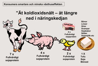 Konsumera smartare och minska växthuseffekten

”Ät koldioxidsnålt – ät längre
ned i näringskedjan
Odlad lax

4x
Fullvärdigt
sojaprotein

7x
Fullvärdigt
sojaprotein

4x
Fullvärdigt
sojaprotein

2x
Fullvärdigt
sojaprotein

Bönor
Linser
Ärtor
Svampar
Sojakakor
Nötter
Sojamjölk etc

1X
Tofu
Soja
Bönost

 
