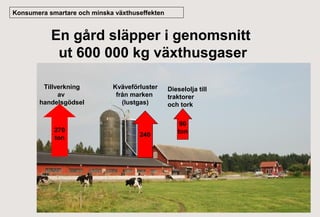 Konsumera smartare och minska växthuseffekten

En gård släpper i genomsnitt
ut 600 000 kg växthusgaser
Tillverkning
av
handelsgödsel

270
ton

Kväveförluster
från marken
(lustgas)

240
ton

Dieselolja till
traktorer
och tork
90
ton

 