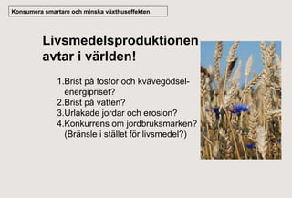 Konsumera smartare och minska växthuseffekten

Livsmedelsproduktionen
avtar i världen!
1.Brist på fosfor och kvävegödselenergipriset?
2.Brist på vatten?
3.Urlakade jordar och erosion?
4.Konkurrens om jordbruksmarken?
(Bränsle i stället för livsmedel?)

 