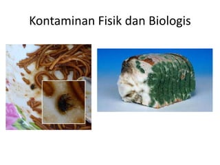Kontaminan Fisik dan Biologis
 