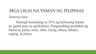 MGA LIKAS NA YAMAN NG PILIPINAS
Yamang-lupa
Humigit-kumulang sa 33% ng kabuoang lupain
ay gamit para sa agrikultura. Pangunahing produkto ng
bansa ay palay, mais, tubo, niyog, abaca, tabako,
saging, at pinya.
 