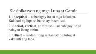 Klasipikasyon ng mga Lupa at Gamit
1. Inceptisol – nababagay ito sa mga halaman.
Kalahati ng lupa sa bansa ay inceptisol.
2. Entisol, vertisol, at mollisol – nababagay ito sa
palay at ibang tanim.
3. Ultisol – madali itong matangay ng tubig at
kakaunti ang taba.
 