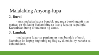 Malalaking Anyong-lupa
2. Burol
- mas mababa kaysa bundok ang mga burol ngunit mas
mataas pa rin kung ihahambing sa ibang lupang sa paligid.
Karaniwan itong tinutubuan ng damo.
3. Lambak
-mababang lugar sa pagitan ng mga bundok o burol.
Nabubuo ito kapag ang tubig ng ilog ay dumadaloy pababa sa
kabundukan.
 