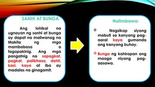 SANHI AT BUNGA
Ang lohikal na
ugnayan ng sanhi at bunga
ay dapat na maliwanag na
Makita ng mga
mambabasa o
tagapakinig. Ang mga
pangatnig na sapagkat,
pagkat, palibhasa, dahil,
kasi, kaya at iba ay
madalas na ginagamit.
Halimbawa:
 Nagsikap siyang
mabuti sa kanyang pag-
aaral kaya gumanda
ang kanyang buhay.
 Bunga ng kahirapan ang
maaga niyang pag-
aasawa.
 