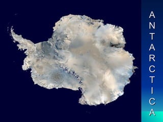 A N T A R C T I C A 