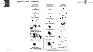 Τι σημαίνει «πολύπλοκο»;
http://www.pozorovanislunce.eu/4/5/2017 Όμιλος Αστρονομίας, Ελληνογερμανική Αγωγή
 